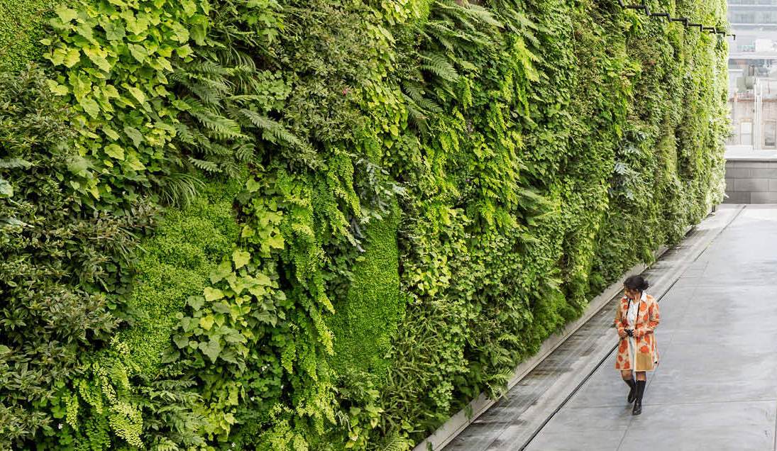 green walls