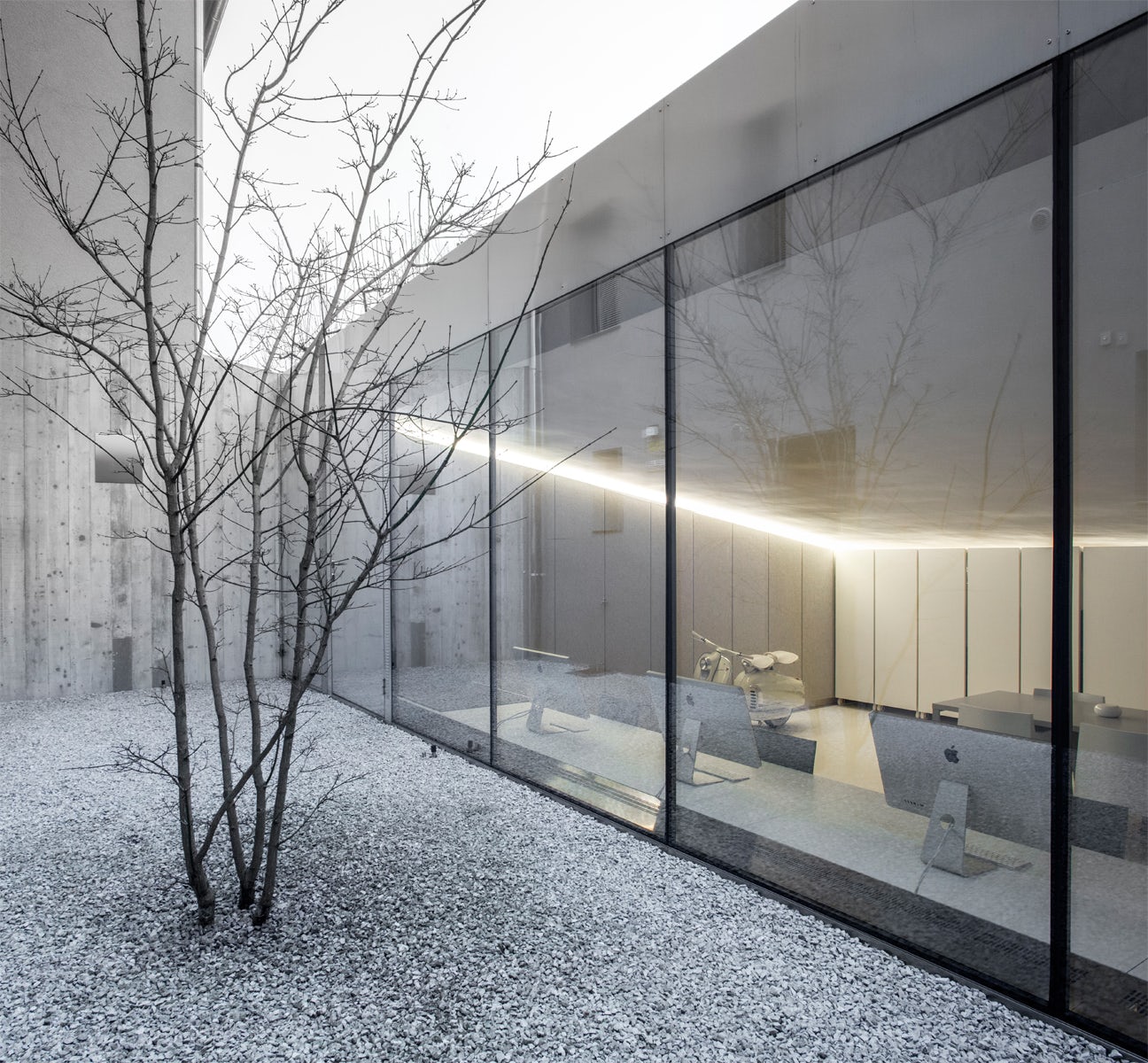 © Flavio Coddou Photography